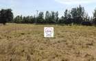 0.25 ac Land at Enkasiti - 11