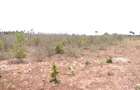 0.25 ac Residential Land at Diani Beach Road - 6