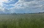 Land at Sunshine - 6
