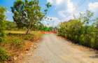0.05 ha Residential Land at Jambu Tv - 4