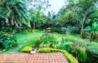 Commercial Property with Fibre Internet in Lavington - 5