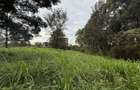 0.5 ac Land in Ruaka - 2