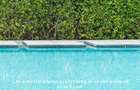 Serviced 1 Bed Apartment with En Suite in Vipingo - 12