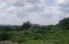 Commercial Land in Upper Hill - 2