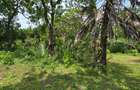 1.2 ac Land at Mtwapa Creekside - 7