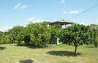 4 Bed House with En Suite at Kinja ( Oloiden - Naivasha ) - 7