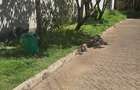 0.298 ac Land in Parklands - 3