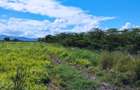 8.5 ac Land at Jua Kali - 5