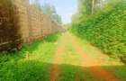 500 m² Residential Land at Nairobi Ndogo Estate - 6