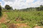 0.10 ac Residential Land at Lemiso Road - Kibiko - 1
