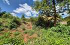 5,057 m² Residential Land at Mushroom Estate - 8