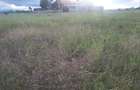 0.25 ac Land in Ongata Rongai - 8