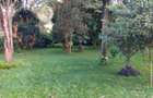 6 Bed Townhouse with En Suite in Karen - 4