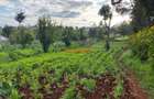 4,000 m² Land in Limuru - 9