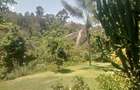 Furnished 2 Bed Apartment with En Suite in Gigiri - 8