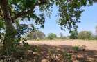 75 ac Land at Vipingo - 9