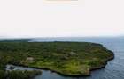 100 ac Land at Funzi Island. Ukunda - 2