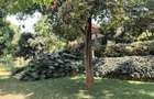 5 Bed House with En Suite in Kitisuru - 3
