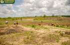 1 ac Land in Malindi - 6