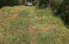 0.5 ac Residential Land at Muthithi - 18