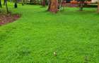 0.7 ac Land in Kileleshwa - 4