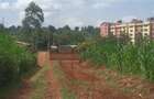 0.5 ac Land in Banana - 1