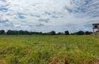 Residential Land in Kilifi - 9