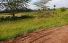 Land in Muthaiga - 8