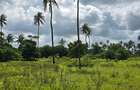 20 ac Land at Mtwapa - 18