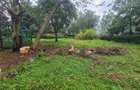 Commercial Property with Garden at Bomas - 1