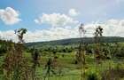Land at Vipingo - 1