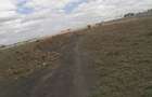 465 m² Residential Land in Kitengela - 4