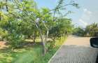 Land at Vipingo - 6