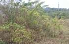 2.8 ha Commercial Land at Tiwi - 8