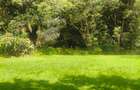 Residential Land at Ndege Road - 7