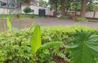 Commercial Property with Service Charge Included in Westlands Area - 3