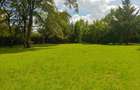 1 ac Residential Land at Three Dee Lane - 1