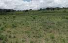 0.25 ac Commercial Land at Lake View - 13