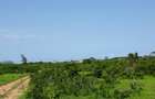 202,350 m² Land in Vipingo - 4