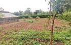 0.5 ac Land in Thome - 3