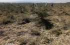 5 ac Land at Sholinke - 1