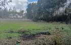 0.5 ac Land at Ndovu - 3