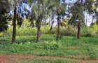 Land in Limuru - 10