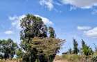 0.125 ac Residential Land at Lusigetti - 5