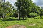 20 ac Land at Mtwapa - 5