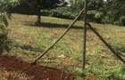 1,200 m² Land at Kiukenda Mugumo Kiambu - 11
