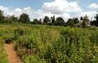 5 ac Land at Rhino Park Road - 1