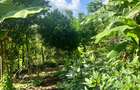 2 ac Land at Karingani - 1