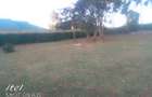 Residential Land in Ndeiya - 5