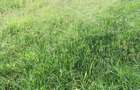 0.5 ac Land at Nyari - 1